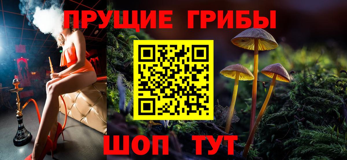 Псилоцибиновые грибы мицелий  Вход с VPN  Псилоцибиновые грибы ЛСД  Реж 
