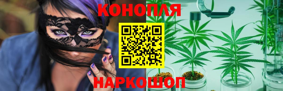 Бошки марихуана сатива Реж